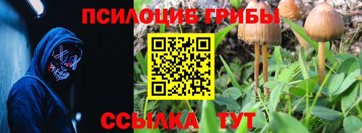 Псилоцибиновые грибы мицелий Крымск